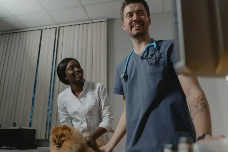 Vétérinaires examinant un chien en présence de son maître