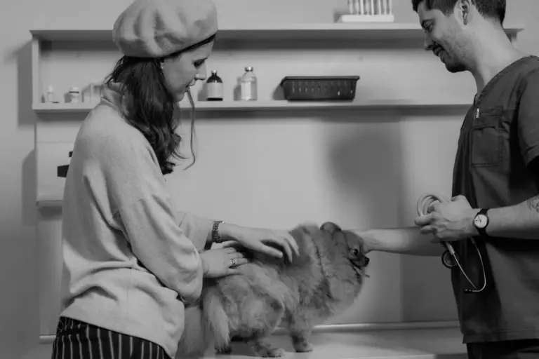 Maître consultant un vétérinaire au sujet de son chien