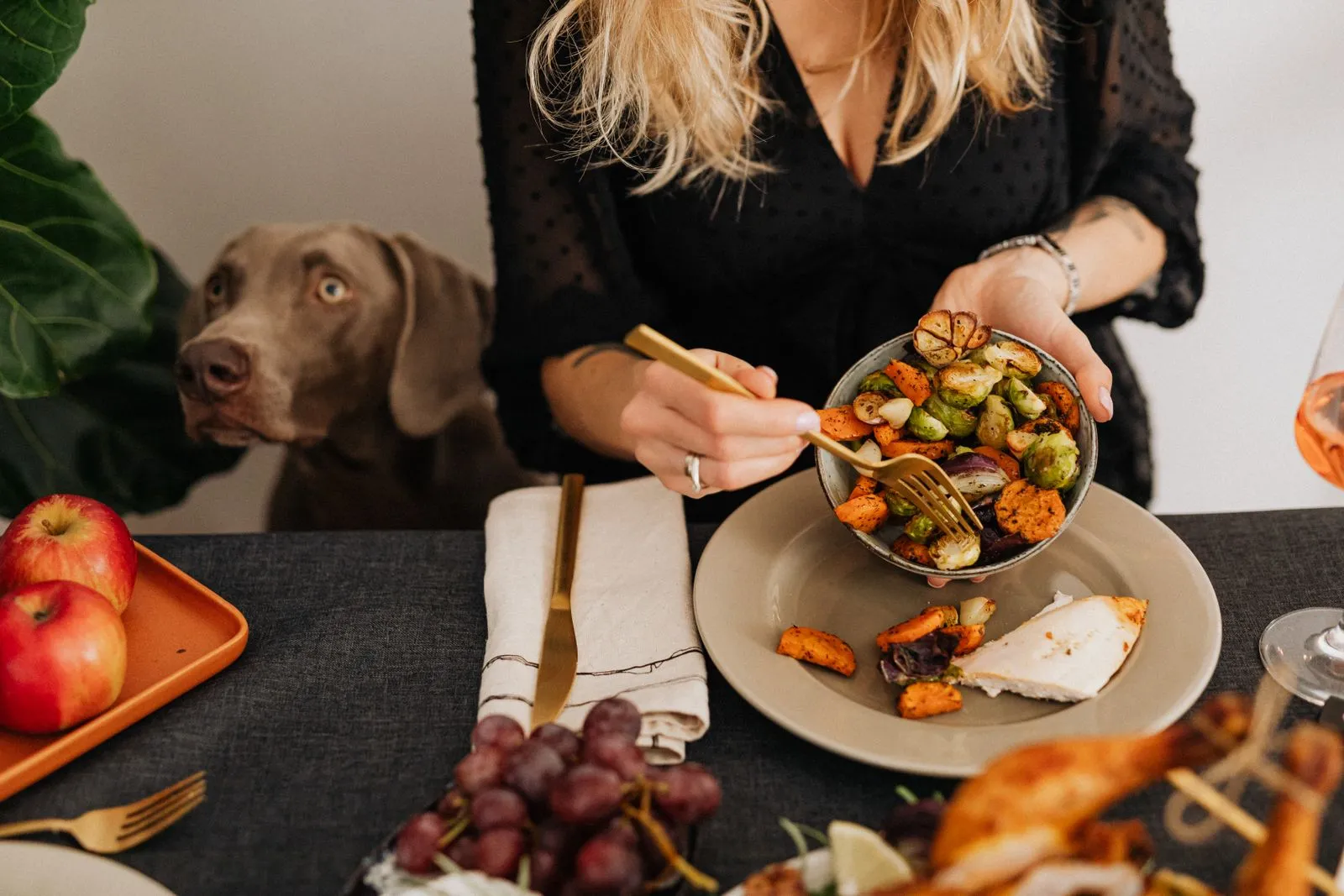 Personne tenant un bol de légumes qu’un chien observe