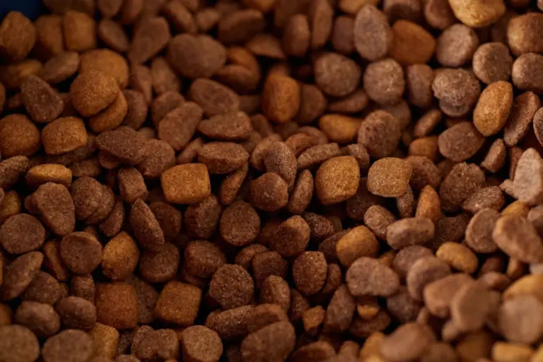 Gros plan de croquettes sèches pour chien de formes variées
