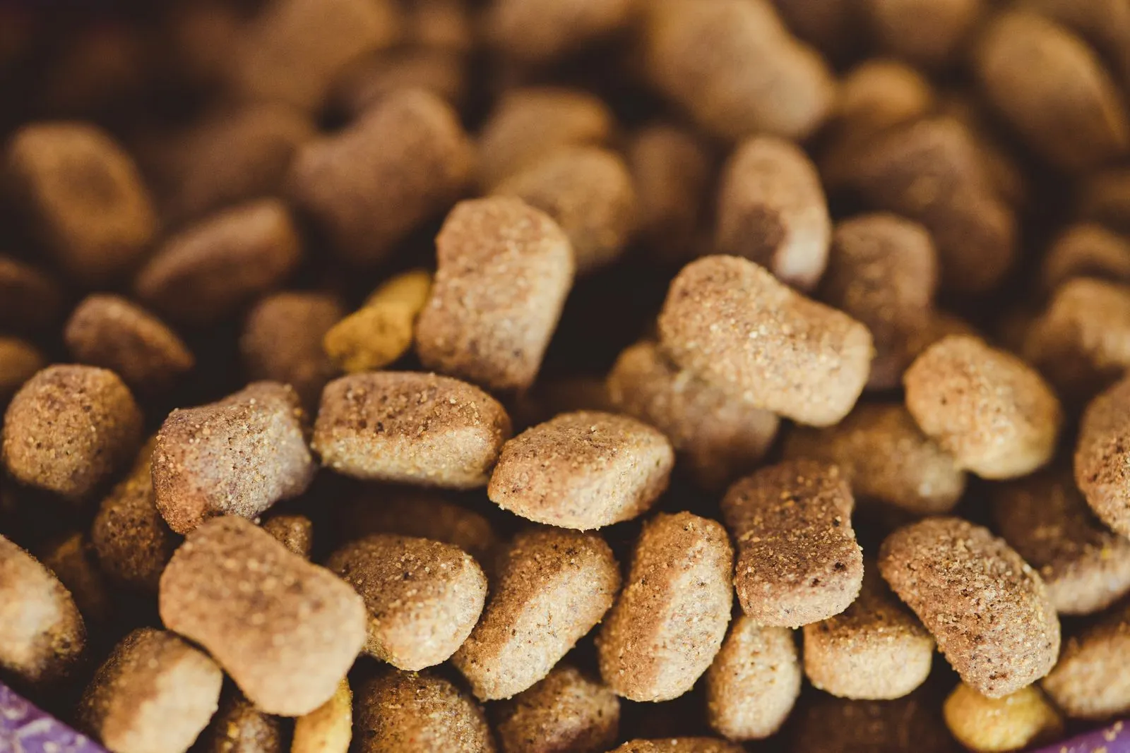 Croquettes brunes pour chien en gros plan sur la texture