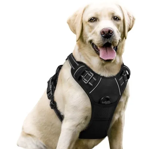 Harnais anti-traction Rabbitgoo No-Pull porté par un chien