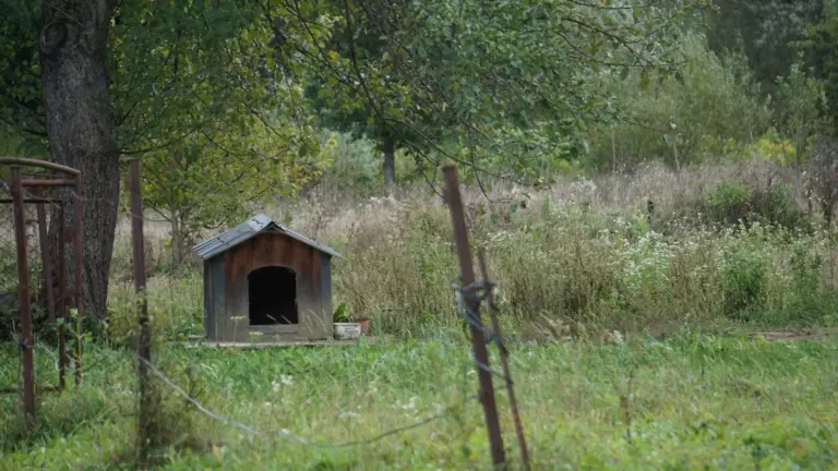 Niche rustique en bois dans un cadre de campagne verdoyant