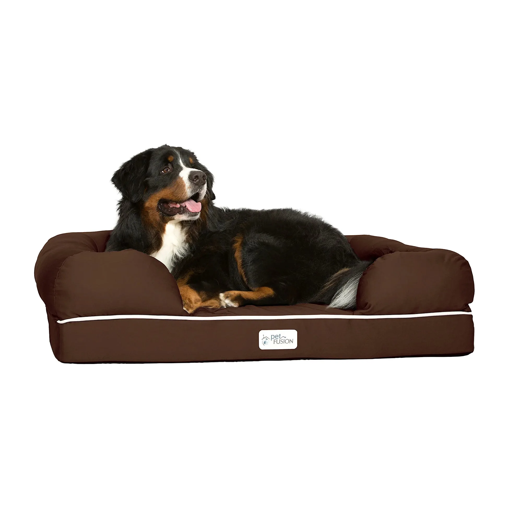 Panier orthopédique PetFusion Ultimate Lounge avec un chien